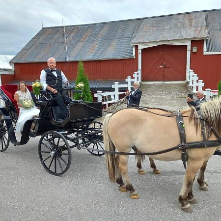 Hotell Eikerapen Gjestegard Aseral Fossdal エクステリア 写真