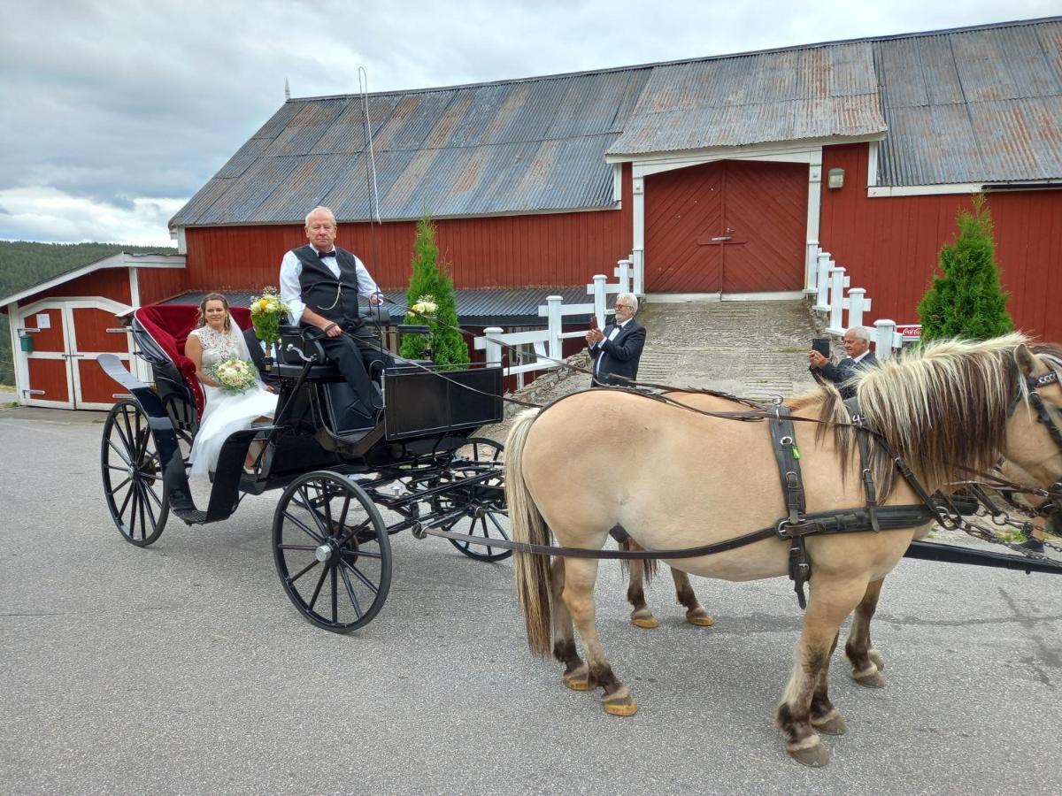 Hotell Eikerapen Gjestegard Aseral Fossdal エクステリア 写真