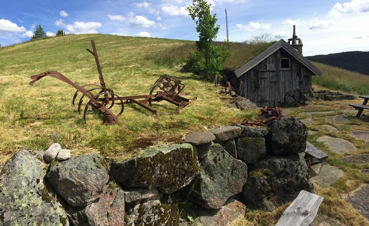 Hotell Eikerapen Gjestegard Aseral Fossdal エクステリア 写真